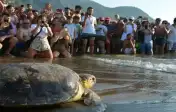 Экскурсии в Дальян из Мармариса