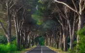 фото с аллеи любви на экскурсии в Акьяку и Юварлакчай из Мармариса